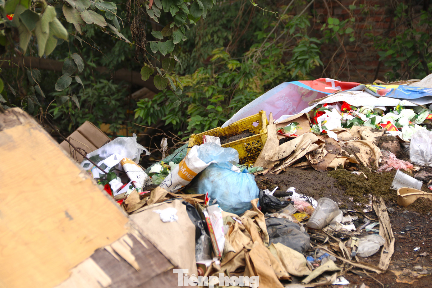 Rác thải ùn ứ thường bị một số người đổ bừa bãi dọc hai bên bờ kênh.