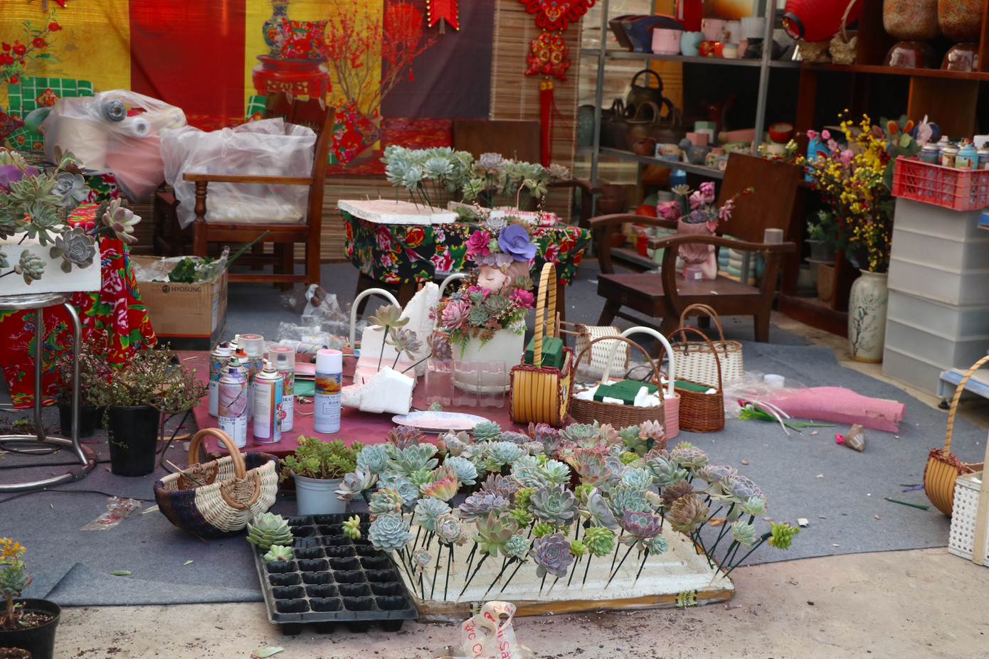 Loại hoa này có thể trưng bày được từ 2 - 4 tuần, sau khi không sử dụng nữa có thể gỡ từng cây đưa đi trồng. Loại hoa này có thể trưng bày được từ 2 - 4 tuần, sau khi không sử dụng nữa có thể gỡ từng cây đưa đi trồng.