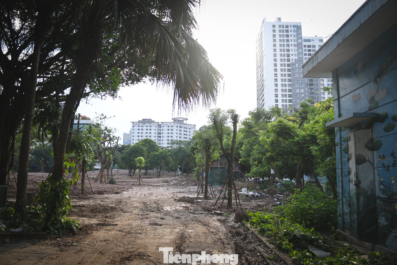 Hệ thống cây xanh và đèn đường được bổ sung để phục vụ người dân tản bộ.