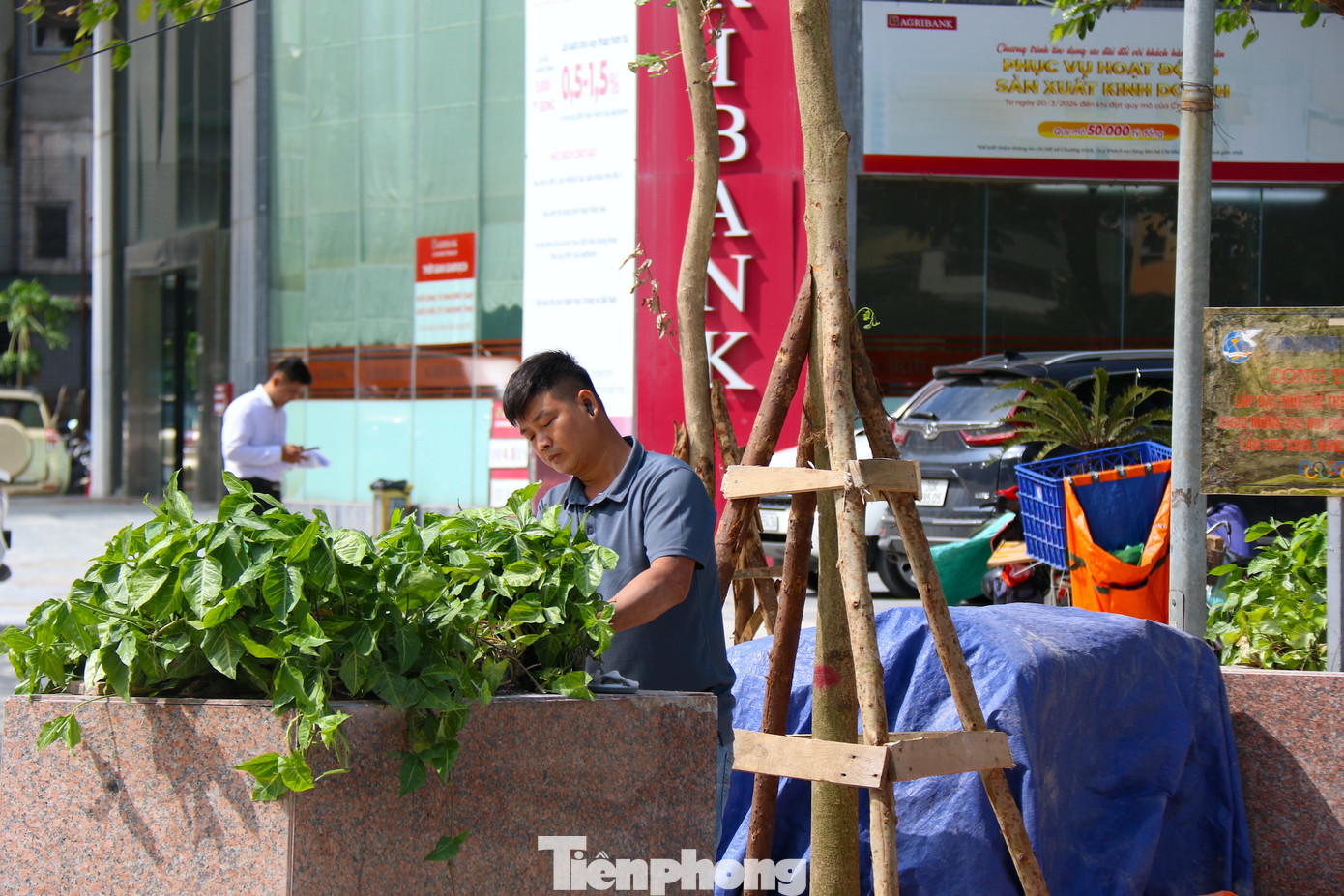 Để hoàn thiện cải tạo kỹ thuật, quận sẽ lát hè đá tự nhiên lòng đường, vỉa hè đường dạo tạo thuận lợi kinh doanh dịch vụ, đi bộ, vui chơi giải trí. Đồng thời, quận cũng cho trồng bổ sung cây xanh bảo đảm mật độ 5m/cây, bó bồn cây bằng đá tự nhiên, xây dựng ghế ngồi bằng nhựa giả gỗ ngoài trời hoặc đá tự nhiên, vật kiến trúc trang trí; lắp đặt trang thiết bị đô thị như ghế ngồi, thùng rác, nhà vệ sinh công cộng; lắp đặt đèn chiếu sáng đường dạo; cổng chào phố đi bộ.