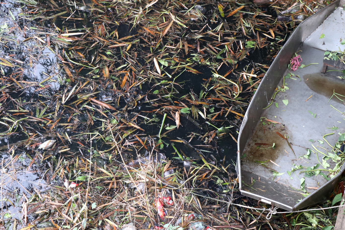 Dòng sông Đáy nơi có nguồn nước thải trực tiếp đổ ra từ làng nghề luôn trong tình trạng đen ngòm, bốc mùi hôi thối.