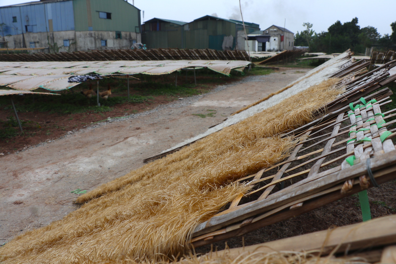 Đại đa số các hộ dân làm miến tại Dương Liễu đều sử dụng tinh bột từ các hộ trong làng chứ không tự sản xuất. Theo những nhân công sản xuất mùa vụ tại đây, bột được mua về sẽ phải rửa, ủ qua nhiều nước. Tuỳ cách thức sơ chế mà miến sẽ được tẩy rửa ra thành phẩm có màu sắc đậm nhạt khác nhau.