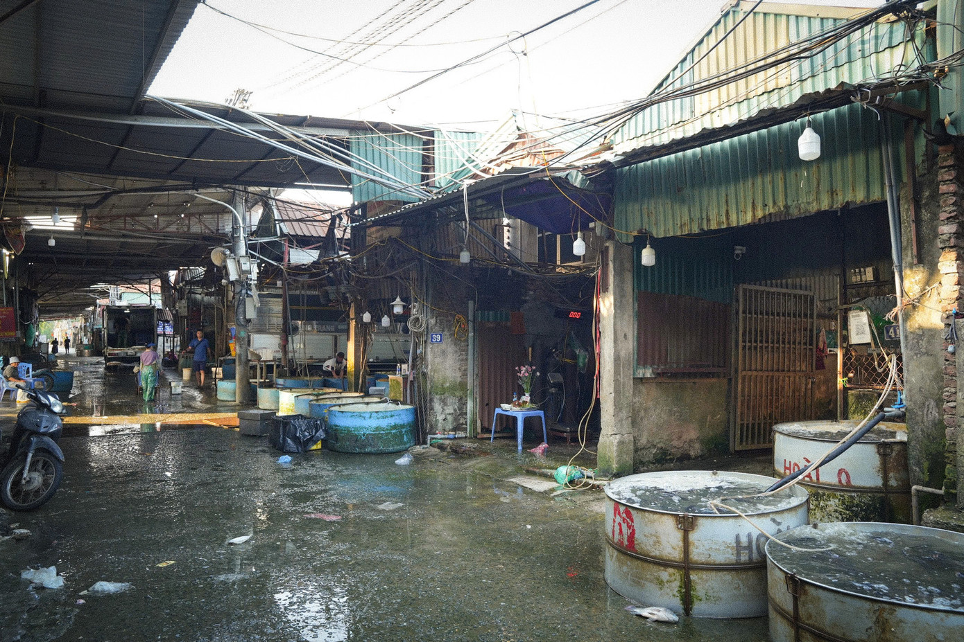 Được thành lập từ những năm 1986, chợ chủ yếu chuyên kinh doanh về các loại cá nước ngọt, phục vụ bà con trong khu vực quận, huyện nội - ngoại thành và các tỉnh miền Bắc. Được thành lập từ những năm 1986, chợ chủ yếu chuyên kinh doanh về các loại cá nước ngọt, phục vụ bà con trong khu vực quận, huyện nội - ngoại thành và các tỉnh miền Bắc.