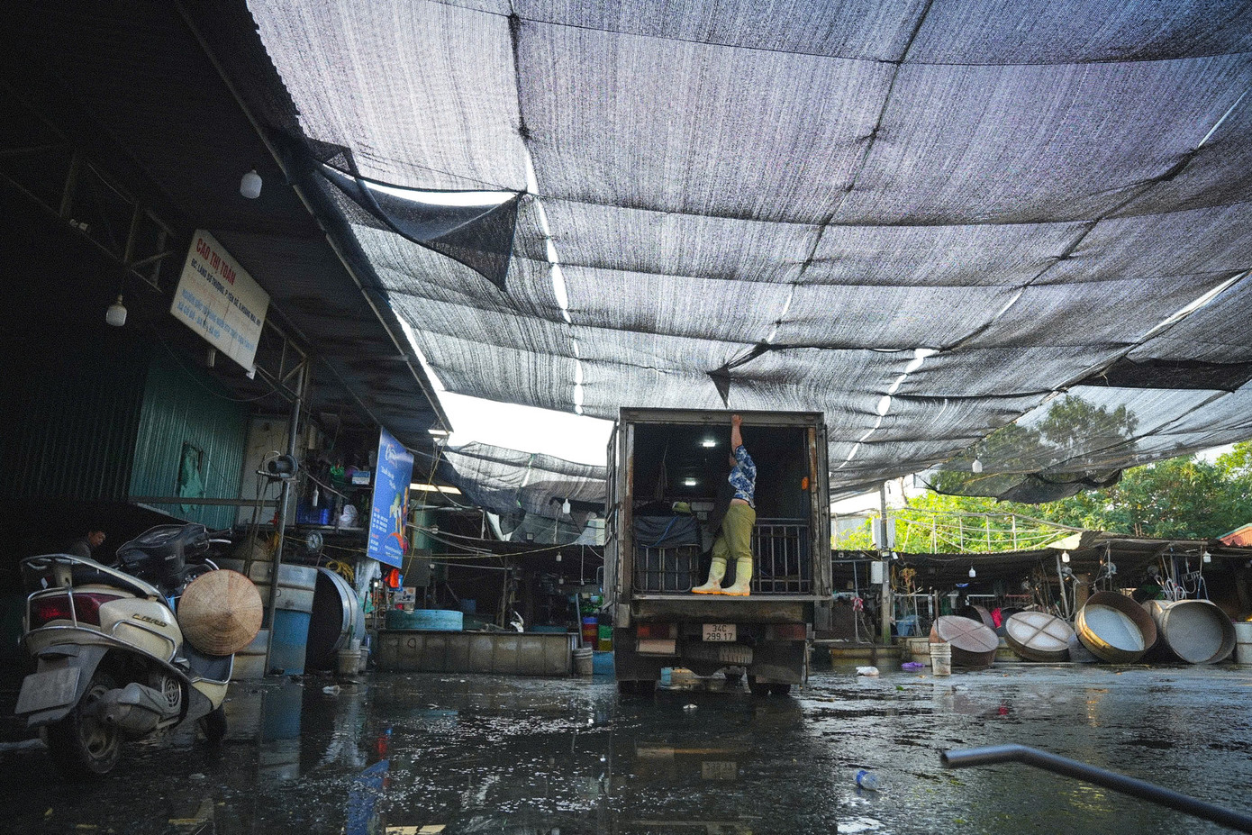 Mỗi ngày có hàng trăm xe chở cá đến bán buôn và cũng có hàng trăm xe đến đóng hàng cá để đem đi tiêu thụ. Việc thiếu chỗ đỗ xe dẫn tới tình trạng thường xuyên xảy ra ùn ứ giao thông cục bộ tại khu vực. Mỗi ngày có hàng trăm xe chở cá đến bán buôn và cũng có hàng trăm xe đến đóng hàng cá để đem đi tiêu thụ. Việc thiếu chỗ đỗ xe dẫn tới tình trạng thường xuyên xảy ra ùn ứ giao thông cục bộ tại khu vực.