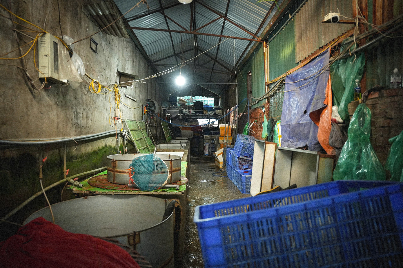 Các gian hàng lợp mái tôn với nhiều mái che đã rách nát, ổ điện han gỉ, lỏng lẻo và phủ đầy bụi bẩn, tiềm ẩn nguy cơ mất an toàn phòng cháy chữa cháy. Các gian hàng lợp mái tôn với nhiều mái che đã rách nát, ổ điện han gỉ, lỏng lẻo và phủ đầy bụi bẩn, tiềm ẩn nguy cơ mất an toàn phòng cháy chữa cháy.