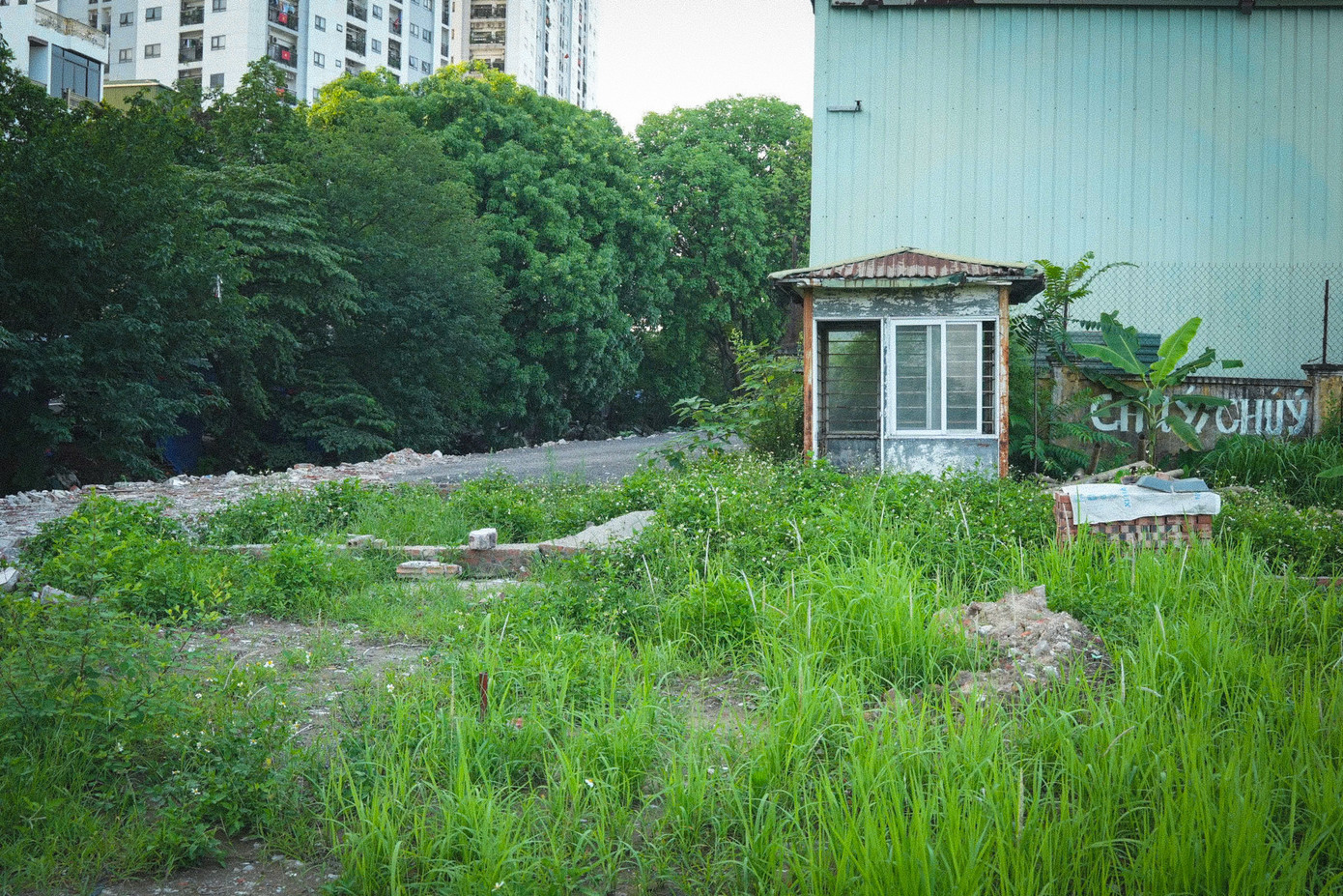 Năm 2017, tập thể UBND thành phố Hà Nội đồng ý với đề xuất của Sở Kế hoạch và Đầu tư thành phố (nay là sở Tài chính) về dự án Xây dựng và Quản lý khai thác chợ cá Yên Sở, cho phép Hợp tác xã Dịch vụ Thủy sản Thương mại tổng hợp Yên Sở nhận chuyển nhượng và góp vốn bằng quyền sử dụng đất để thực hiện dự án. Năm 2017, tập thể UBND thành phố Hà Nội đồng ý với đề xuất của Sở Kế hoạch và Đầu tư thành phố (nay là sở Tài chính) về dự án Xây dựng và Quản lý khai thác chợ cá Yên Sở, cho phép Hợp tác xã Dịch vụ Thủy sản Thương mại tổng hợp Yên Sở nhận chuyển nhượng và góp vốn bằng quyền sử dụng đất để thực hiện dự án.