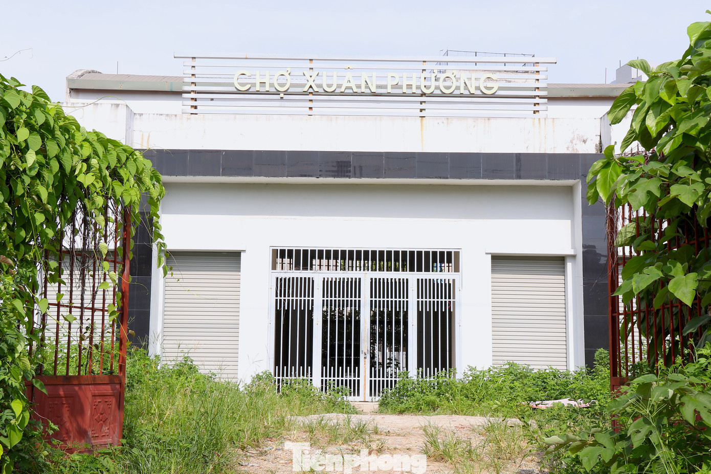Chợ Xuân Phương bị bỏ hoang với khu vực cổng chính nhếch nhác, cỏ mọc khắp lối. Chợ Xuân Phương bị bỏ hoang với khu vực cổng chính nhếch nhác, cỏ mọc khắp lối.