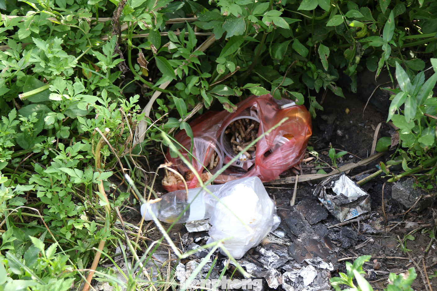 Khu vực xung quanh chợ thành nơi xả rác và tập trung các tệ nạn. Khu vực xung quanh chợ thành nơi xả rác và tập trung các tệ nạn.