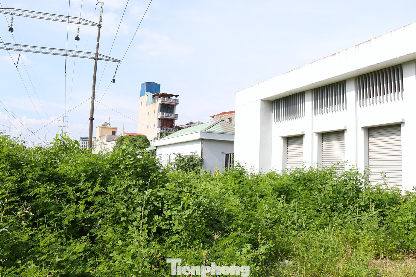 Cỏ mọc bao quanh khu vực nhà chính của chợ. Cỏ mọc bao quanh khu vực nhà chính của chợ.