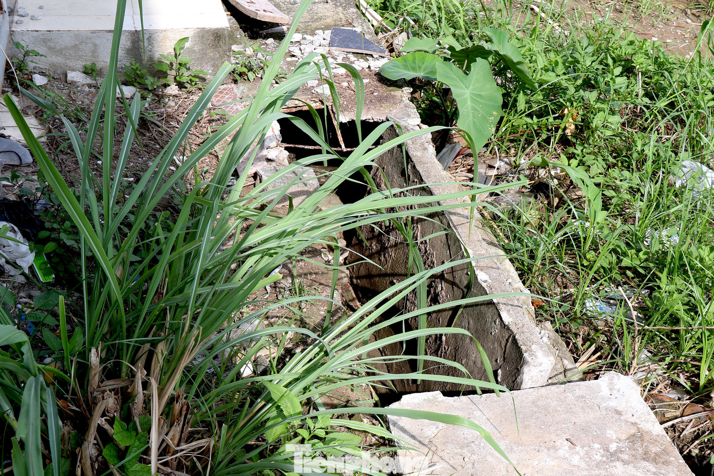 Nhiều hạng mục ngoài trời của chợ xuống cấp nghiêm trọng. Nhiều hạng mục ngoài trời của chợ xuống cấp nghiêm trọng.