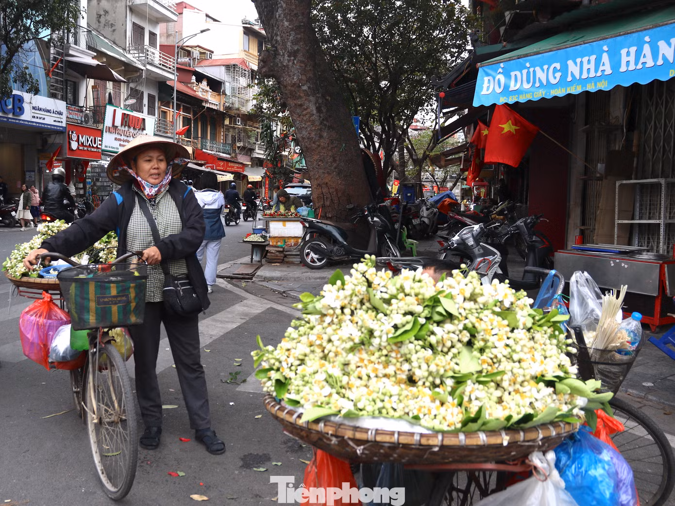 Theo nhiều người bán tại chợ Đồng Xuân, trong số các loại hoa bưởi đang bán trên thị trường, hoa bưởi Diễn có giá đắt nhất, từ 500.000 đồng/kg. Còn hoa bưởi chua có đủ lá, cành được bán với giá khoảng 300.000 - 450.000 đồng/kg. Theo nhiều người bán tại chợ Đồng Xuân, trong số các loại hoa bưởi đang bán trên thị trường, hoa bưởi Diễn có giá đắt nhất, từ 500.000 đồng/kg. Còn hoa bưởi chua có đủ lá, cành được bán với giá khoảng 300.000 - 450.000 đồng/kg.