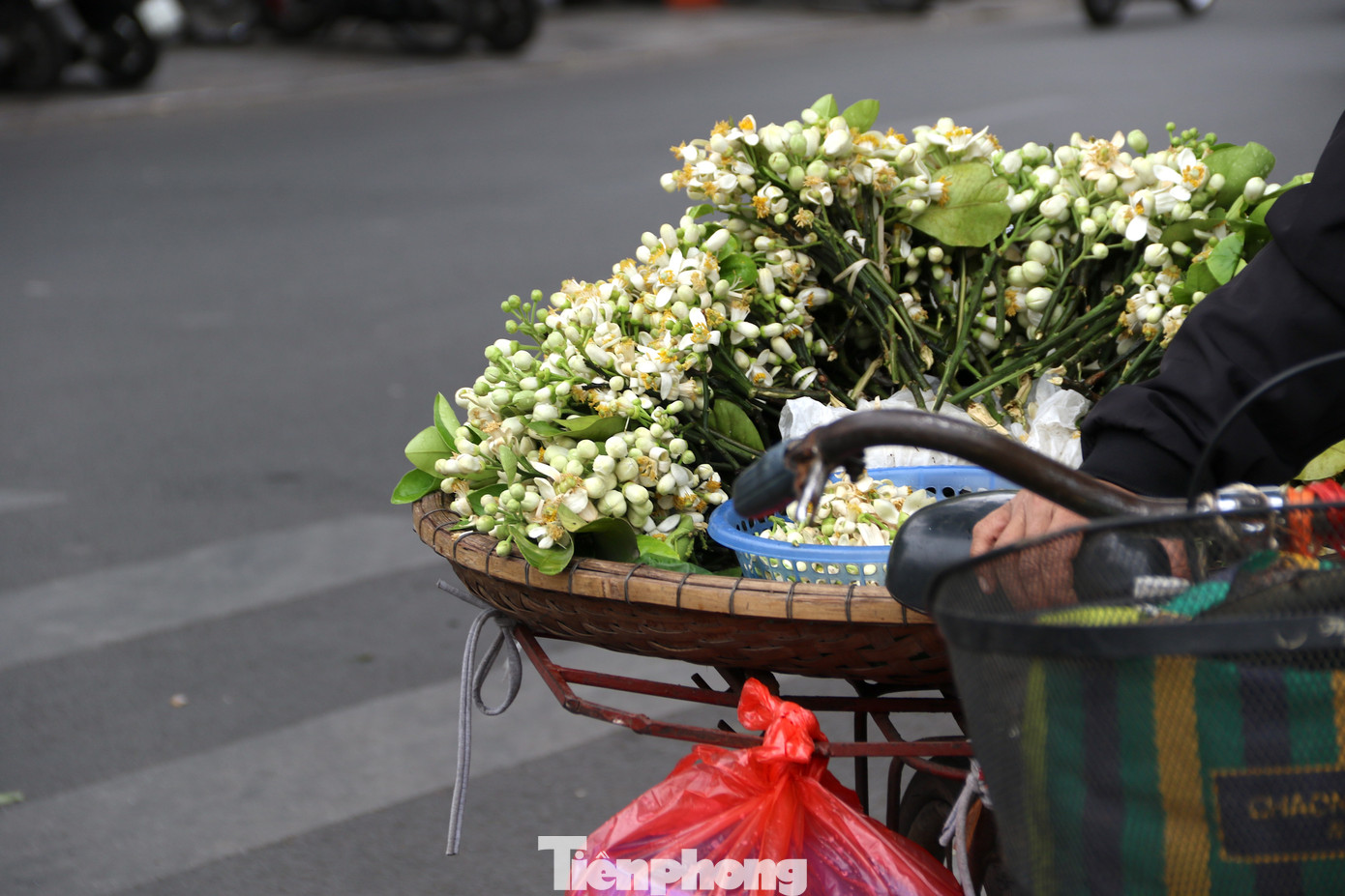 Ở Hà Nội, cứ mùa nào chơi hoa nấy, sau Tết khi đào đã phai, mai đã tàn, người dân thủ đô ưa chuộng chơi hoa bưởi đến hết tháng Giêng.