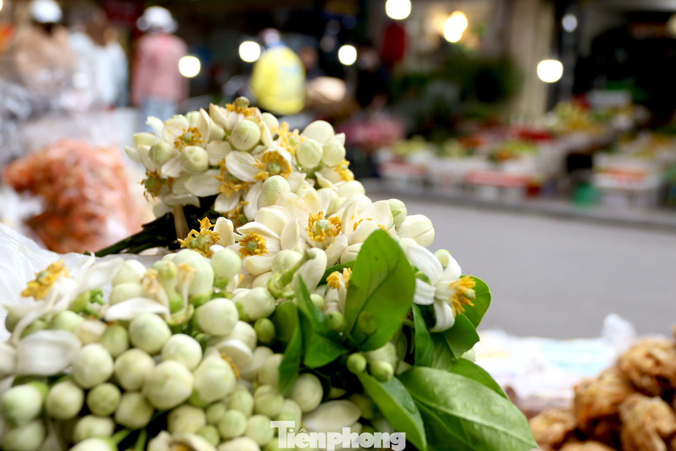 Hoa bưởi thường được mua về để lễ chùa, thắp hương, ướp trà, ướp, cắm cho thơm hoặc gội đầu.