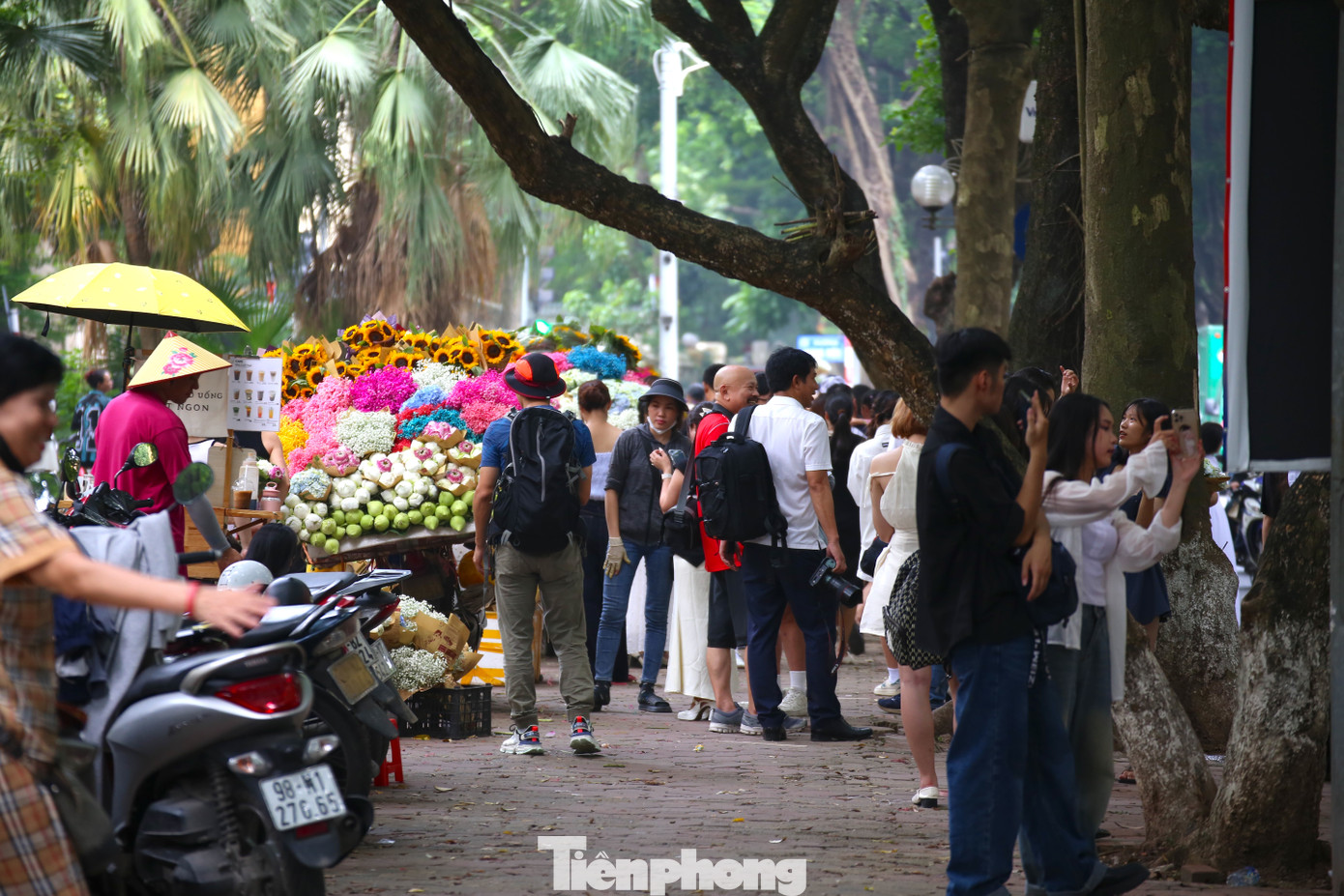 Với nhiều thợ ảnh thường xuyên chụp tại đây, bây giờ là dịp "hốt bạc" với thu nhập tiền triệu/ngày. Với nhiều thợ ảnh thường xuyên chụp tại đây, bây giờ là dịp "hốt bạc" với thu nhập tiền triệu/ngày.