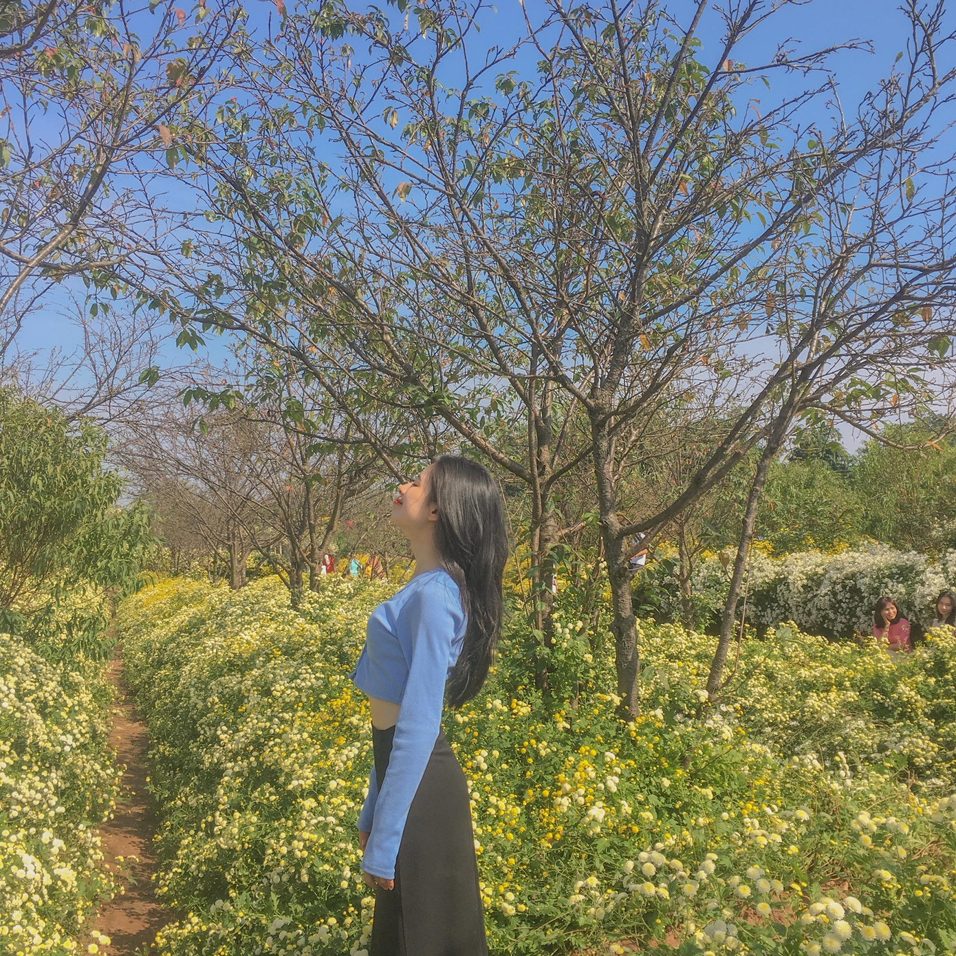 Thung lũng hoa Hồ Tây là địa điểm check-in lý tưởng tại Hà Nội dịp này. Thung lũng hoa Hồ Tây là địa điểm check-in lý tưởng tại Hà Nội dịp này.