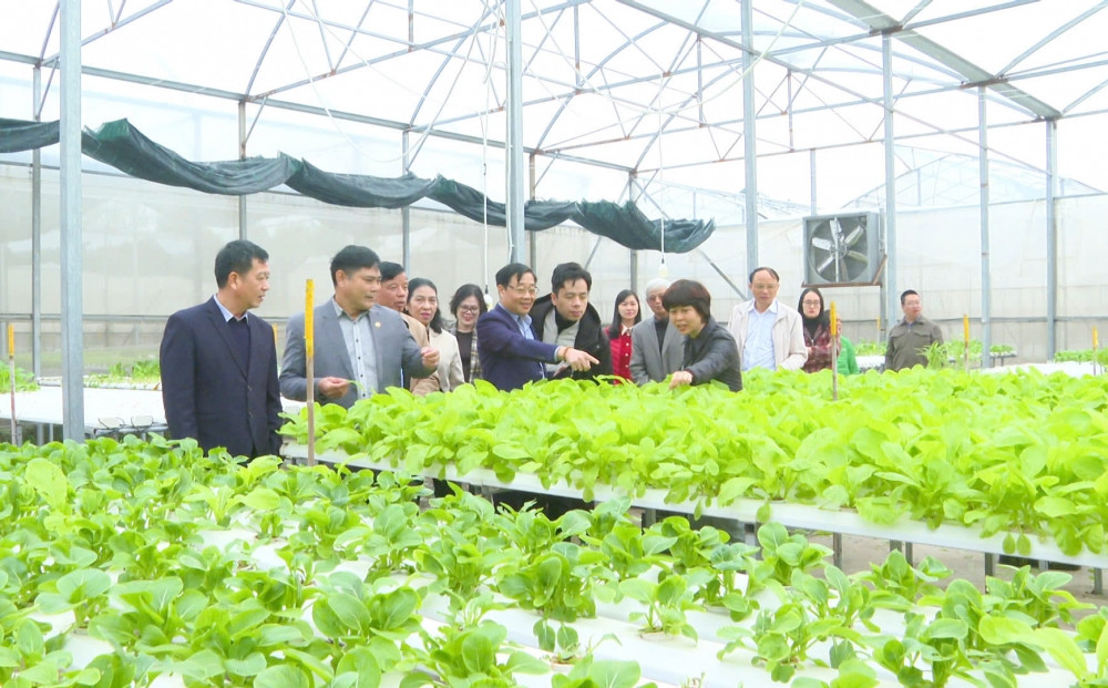 Luỹ kế đến hết năm 2024, Hà Nội đã có 382/382 xã đạt chuẩn nông thôn mới, 237 xã về đích nông thôn mới nâng cao và 113 xã được công nhận nông thôn mới kiểu mẫu. Luỹ kế đến hết năm 2024, Hà Nội đã có 382/382 xã đạt chuẩn nông thôn mới, 237 xã về đích nông thôn mới nâng cao và 113 xã được công nhận nông thôn mới kiểu mẫu.