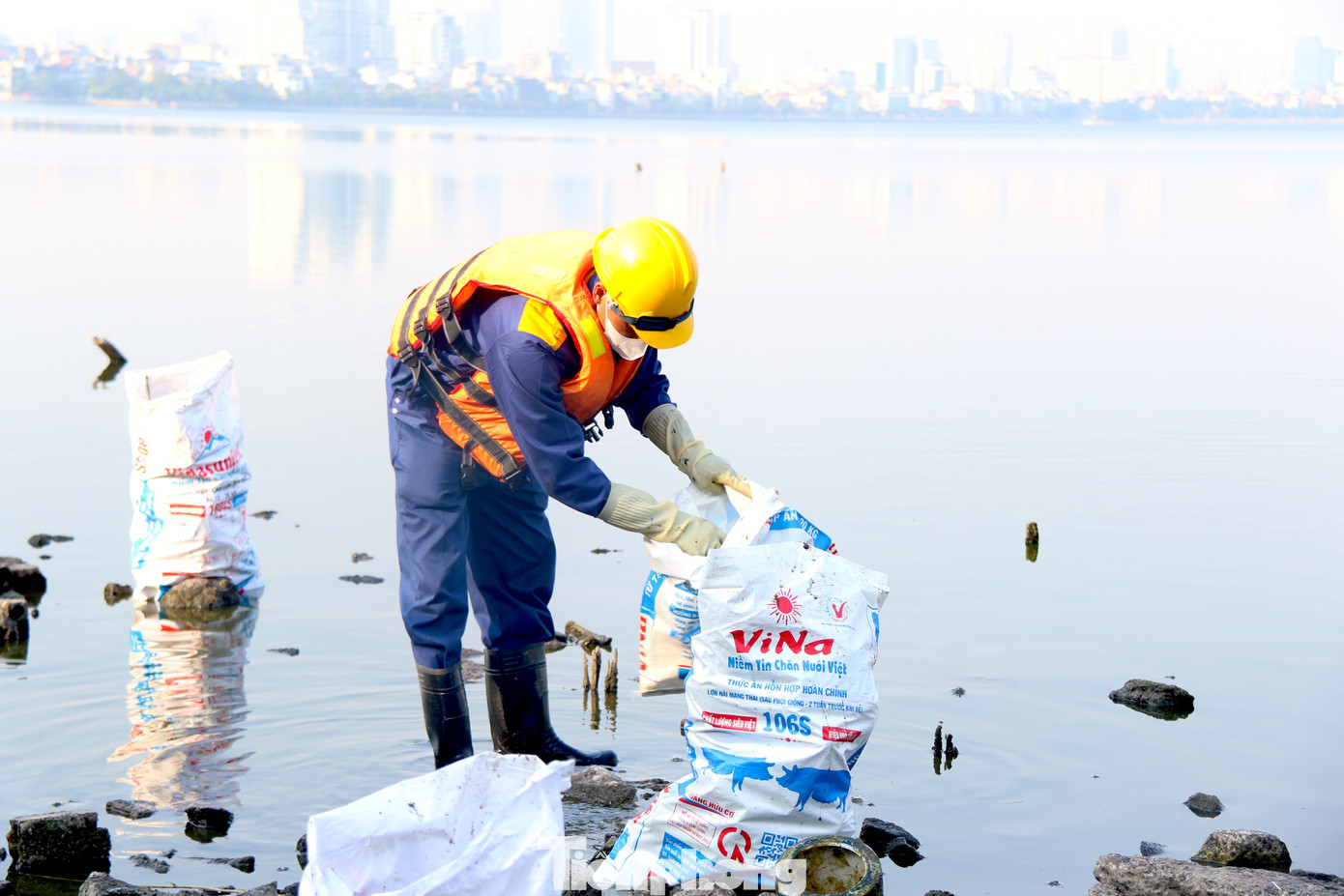Công nhân vệ sinh môi trường tiến hành thu gom hàng loạt chất thải tâm linh dưới lòng hồ.