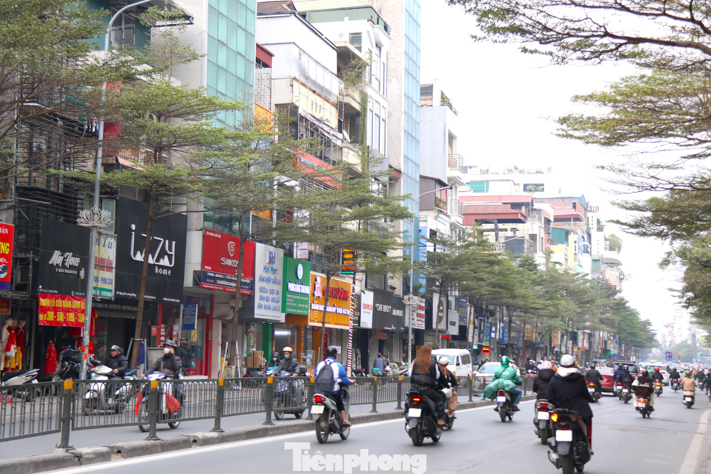 Để đảm bảo cho cây xanh phát triển ổn định, không bị gãy đổ khi gặp thời tiết xấu, nhiều năm nay, Công ty Công viên cây xanh Hà Nội đã "đeo gông sắt" cho hàng loạt cây trên vỉa hè ở nhiều tuyến phố. Khi cây phát triển, gông sắt không được nới lỏng. Chính vì vậy, nhiều năm qua, cây xanh ở Hà Nội bị gông sắt siết chặt vào thân. Để đảm bảo cho cây xanh phát triển ổn định, không bị gãy đổ khi gặp thời tiết xấu, nhiều năm nay, Công ty Công viên cây xanh Hà Nội đã "đeo gông sắt" cho hàng loạt cây trên vỉa hè ở nhiều tuyến phố. Khi cây phát triển, gông sắt không được nới lỏng. Chính vì vậy, nhiều năm qua, cây xanh ở Hà Nội bị gông sắt siết chặt vào thân.