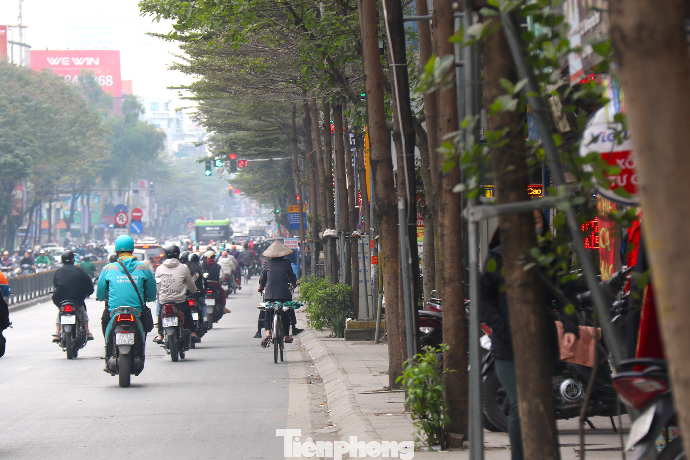 Hàng cây này phát triển tốt tạo ra không gian xanh đẹp mắt và bóng mát cho người đi bộ. Thế nhưng, một số cây đang bị những khung sắt bóp chặt. Hàng cây này phát triển tốt tạo ra không gian xanh đẹp mắt và bóng mát cho người đi bộ. Thế nhưng, một số cây đang bị những khung sắt bóp chặt.