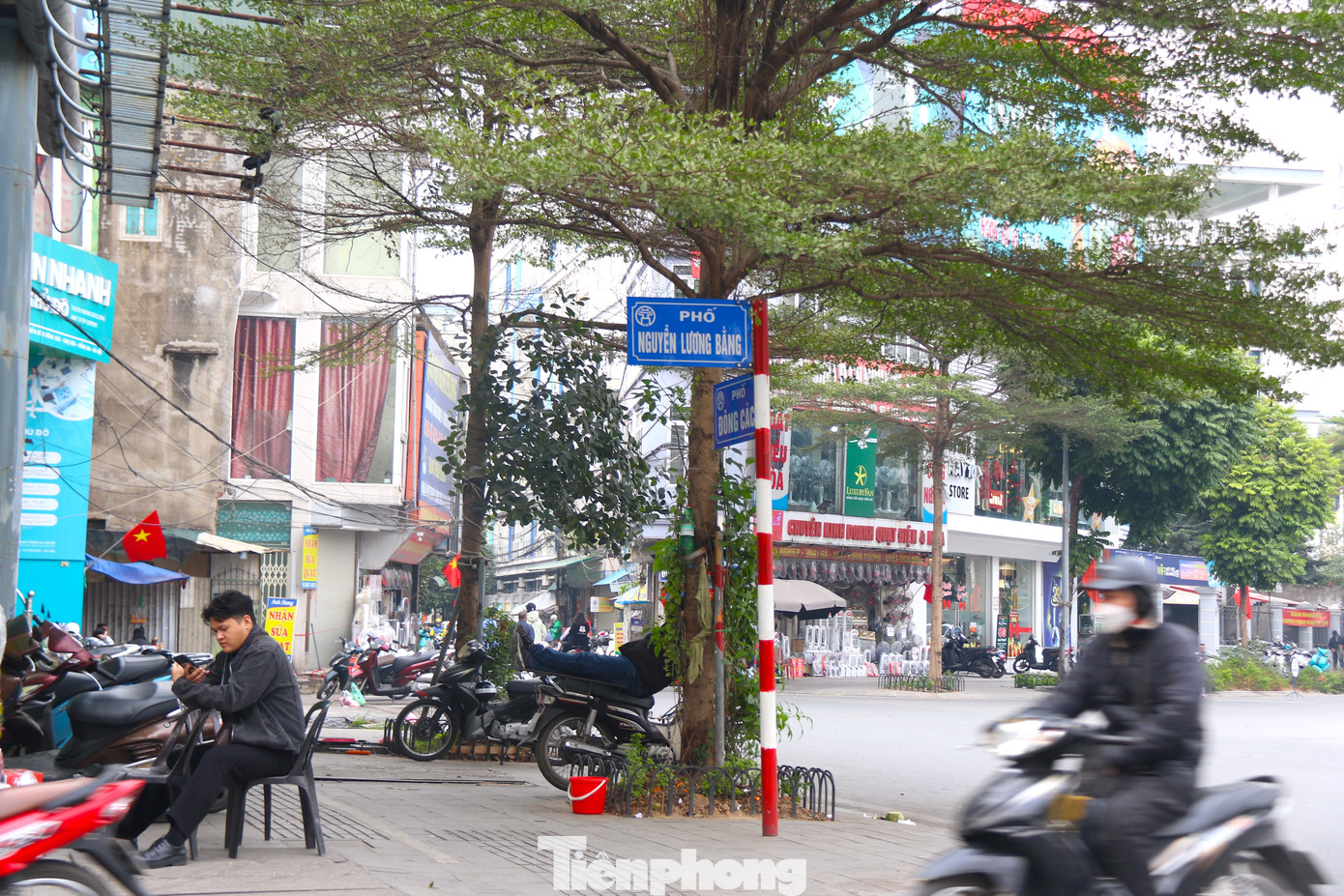 Hàng cây xanh dọc tuyến đường Nguyễn Lương Bằng vốn đã được lắp các giá đỡ cho hệ thống cây xanh từ lâu. Tuy nhiên, do không được theo dõi, kiểm tra thường xuyên, khung sắt sẽ bộc lộ những khuyết điểm có hại cho cây, thậm chí gây chết cây. Hàng cây xanh dọc tuyến đường Nguyễn Lương Bằng vốn đã được lắp các giá đỡ cho hệ thống cây xanh từ lâu. Tuy nhiên, do không được theo dõi, kiểm tra thường xuyên, khung sắt sẽ bộc lộ những khuyết điểm có hại cho cây, thậm chí gây chết cây.