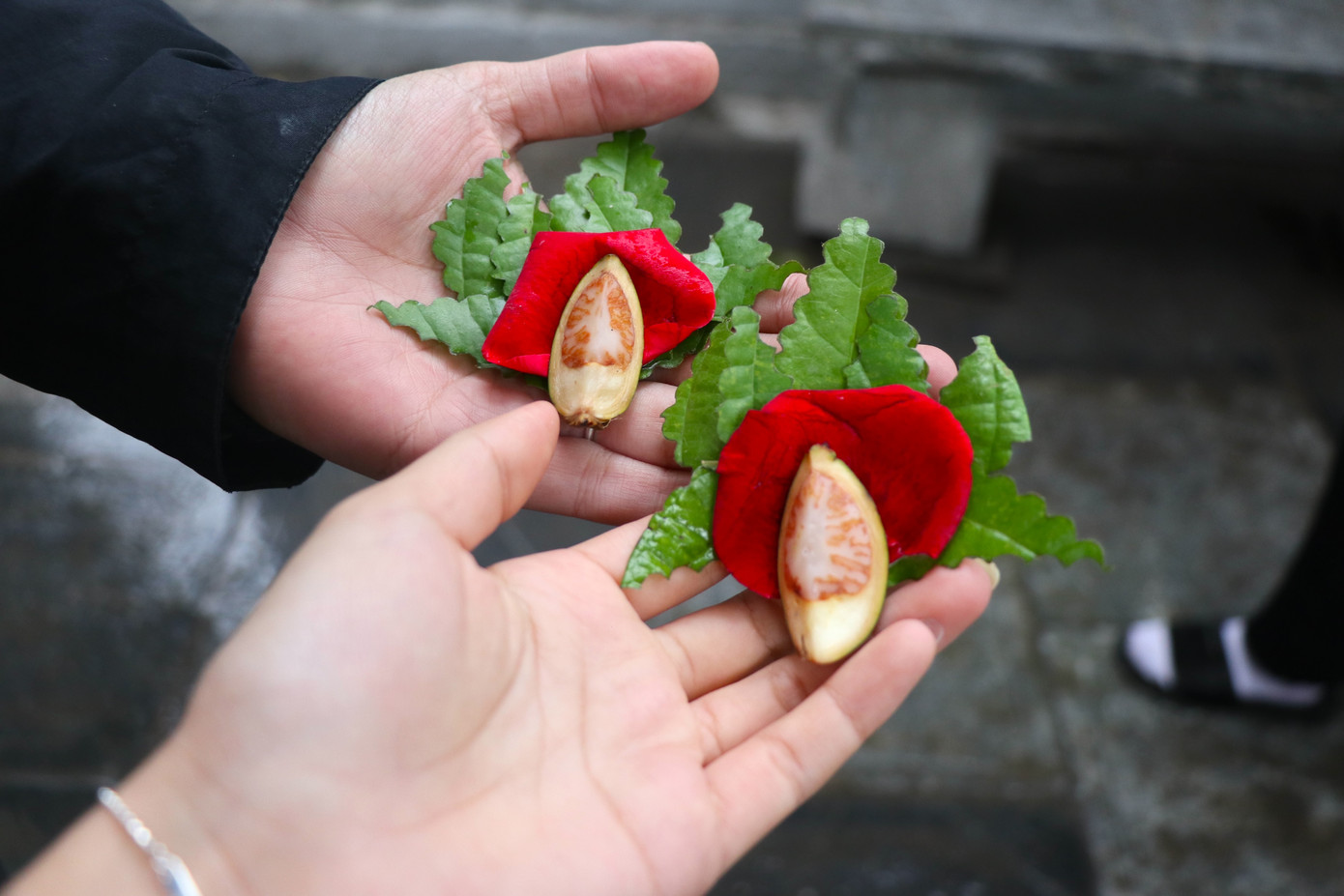 Dù chưa được kiểm chứng, nhưng những người làm lễ cầu duyên tại chùa Hà cho rằng đó là việc làm khiến tâm hồn thanh thản, an nhiên hơn, giúp cân bằng cảm xúc trong tình yêu.