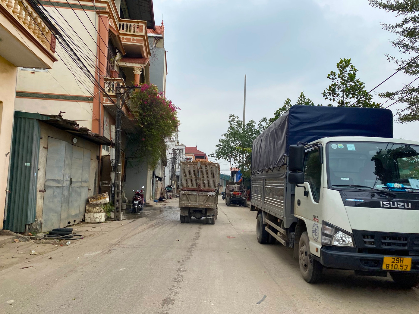 Dọc các tuyến đường, những xe chở tinh bột sau sơ chế chạy nườm nượp đến các xưởng sản xuất trong xã.