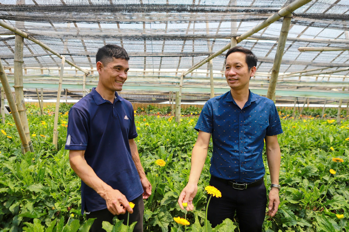 Anh Bùi Văn Khá (trái) – Giám đốc HTX hoa Đồng Tháp chia sẻ về hoạt động HTX với Chủ tịch Hội Nông dân xã Đồng Tháp Nguyễn Ngọc Cường. Ảnh: Nguyễn Chương Anh Bùi Văn Khá (trái) – Giám đốc HTX hoa Đồng Tháp chia sẻ về hoạt động HTX với Chủ tịch Hội Nông dân xã Đồng Tháp Nguyễn Ngọc Cường. Ảnh: Nguyễn Chương