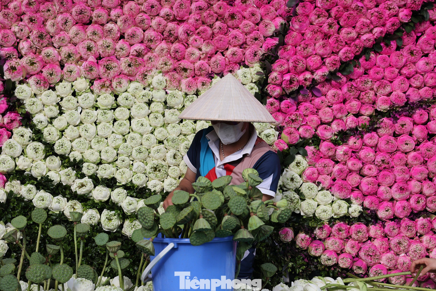 Tác phẩm Thăng Long Huyền Diệu Hoa là thông điệp nhắc nhở về giá trị cội nguồn văn hóa dân tộc, thể hiện mối liên hệ giữa thế hệ hiện đại và tổ tiên, giữa con người và thiên nhiên.