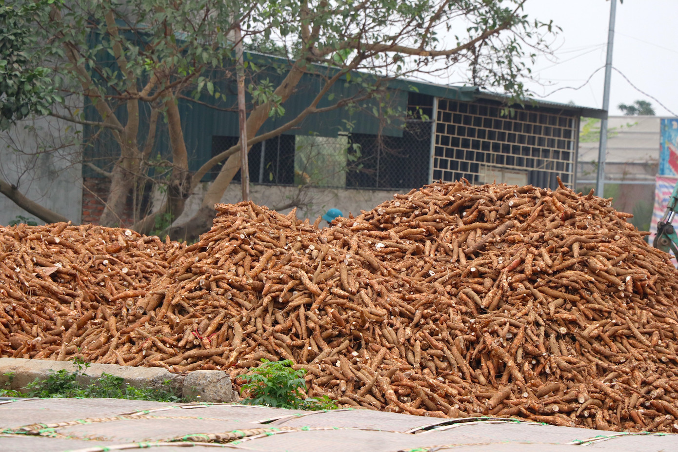 Ông Nguyễn Bá Hưng - Chủ tịch UBND xã Dương Liễu thừa nhận, tình trạng ô nhiễm nguồn nước do nước thải làng nghề đã diễn ra trong thời gian dài, phần lớn là do sản xuất tại địa phương chủ yếu theo quy mô hộ gia đình với phương thức sản xuất thủ công. Tuy nhiên, hiện nay chính quyền cũng đang tích cực tuyên truyền, cho người dân cam kết không xả thải ra môi trường, chuyển đổi công việc sang ngành nghề thân thiện với môi trường từ đó làm giảm bớt tác động tới chất lượng nước của dòng sông Đáy chảy qua địa bàn.