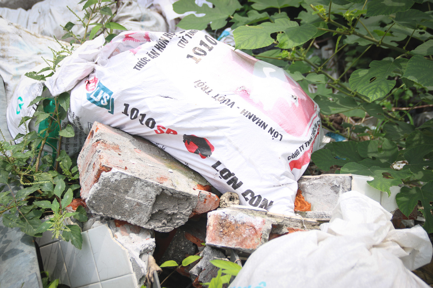 Dù chính quyền phường Vĩnh Phúc đã nhiều lần tổ chức dọn dẹp, nhưng chỉ sau vài ngày, tình trạng đổ trộm lại tái diễn. Dù chính quyền phường Vĩnh Phúc đã nhiều lần tổ chức dọn dẹp, nhưng chỉ sau vài ngày, tình trạng đổ trộm lại tái diễn.