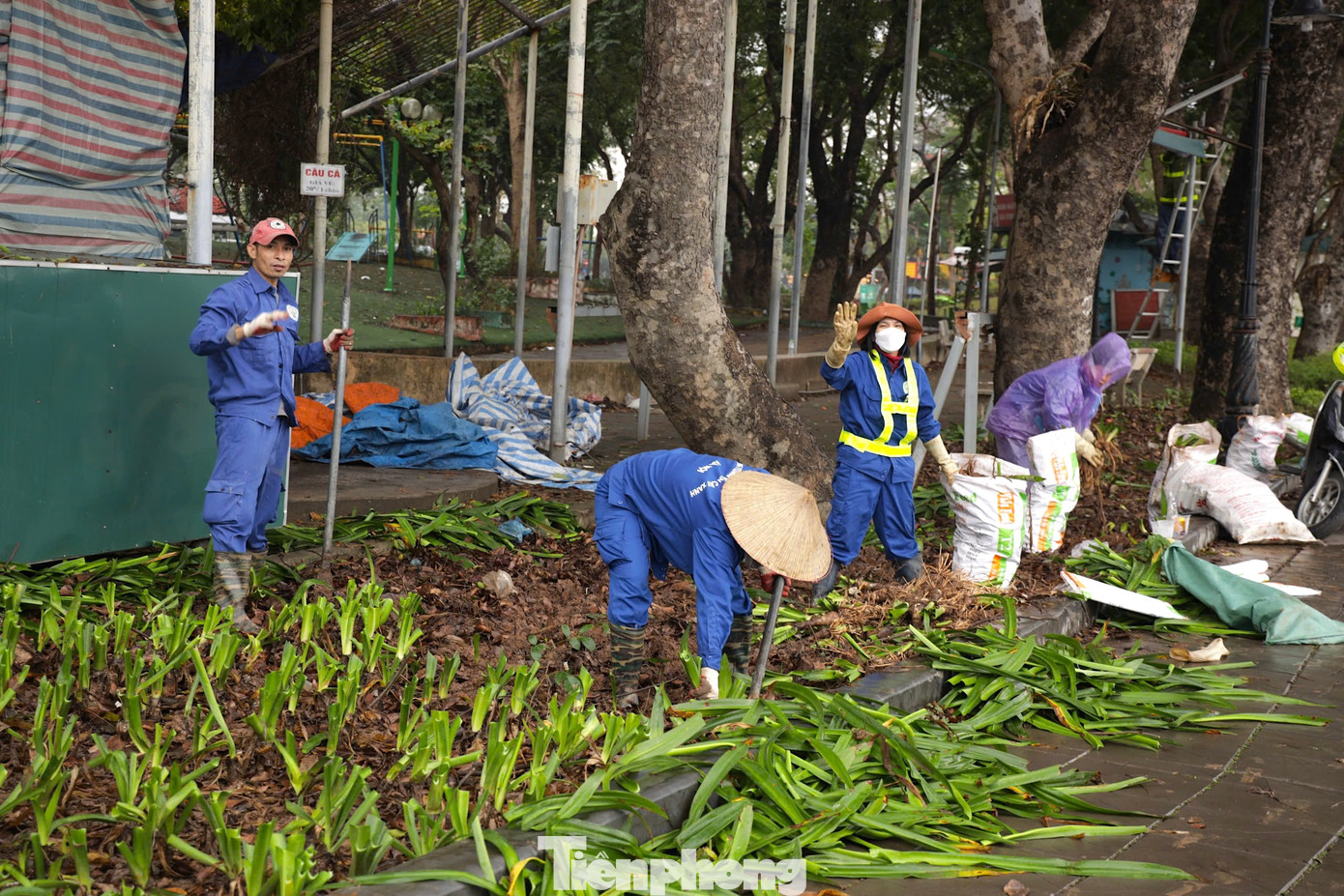 Theo quyết định phê duyệt, dự án sẽ tổ chức cải tạo 2 cổng hiện trạng, sửa chữa, nâng cấp toàn bộ hoa sắt, tường rào hiện trạng bao quanh công viên. Theo quyết định phê duyệt, dự án sẽ tổ chức cải tạo 2 cổng hiện trạng, sửa chữa, nâng cấp toàn bộ hoa sắt, tường rào hiện trạng bao quanh công viên.