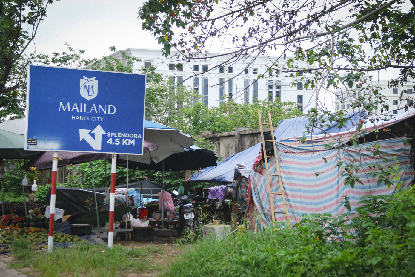 Nhiều cửa hàng còn được tiểu thương dựng nhà ở kiên cố để phục vụ cho hoạt động kinh doanh.