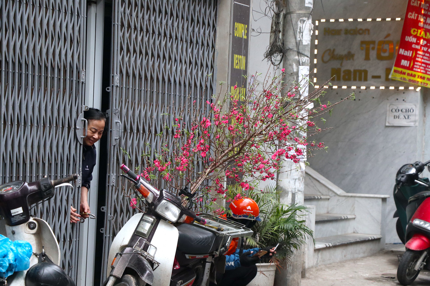 Nhiều gia đình mua cành đào sớm để trang trí bàn thờ gia tiên trong lễ cúng ông Công ông Táo.