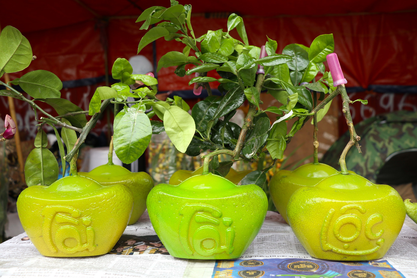 Các loại trái cây tạo hình độc lạ chưng Tết năm nay cung ứng ra thị trường ít, sức mua yếu.