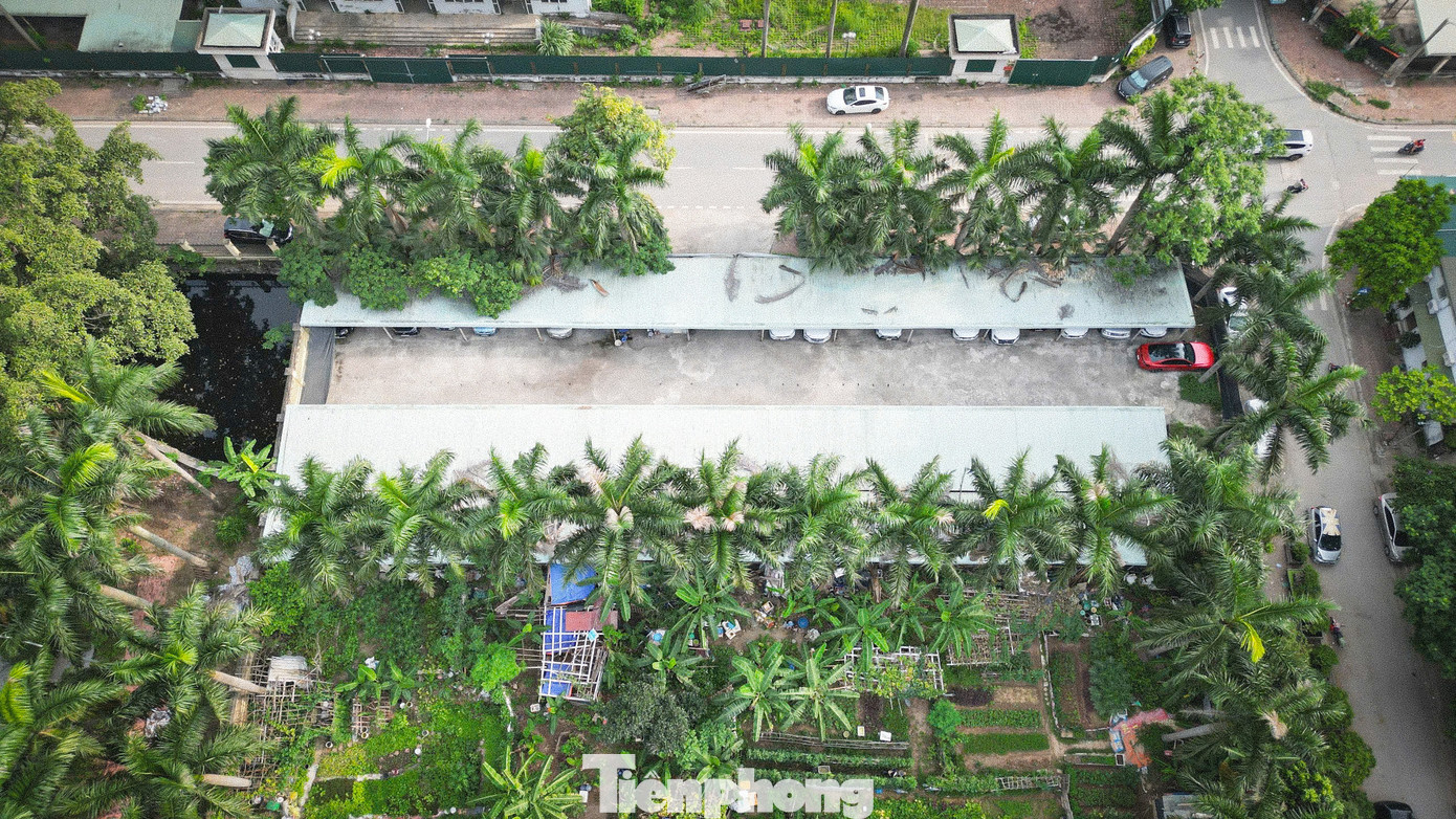 Ven các toà nhà bỏ không này, người dân sống xung quanh đó tận dụng đất để trồng rau, đỗ xe.