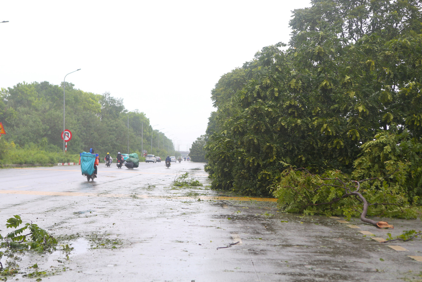 Cơn bão với sức gió mạnh cấp 11-12 giật cấp 13-14, kèm theo mưa lớn kéo dài, đã tàn phá diện rộng khu vực dọc tuyến.