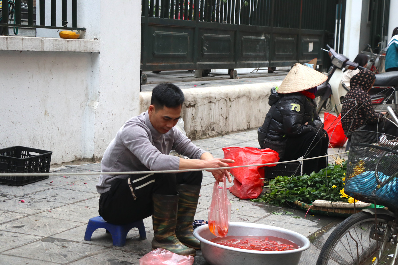 Bên cạnh đồ cúng vàng mã, cá chép cũng là vật không thể thiếu trong lễ cúng Táo quân. Hiện giá cá chép đỏ phóng sinh với đủ loại kích cỡ, được bán từ 40.000 - 50.000 đồng/3 con. Theo dân gian, cá chép chính là phương tiện đưa ông Công ông Táo về trời, báo cáo công việc trong gia đình 1 năm vừa qua.