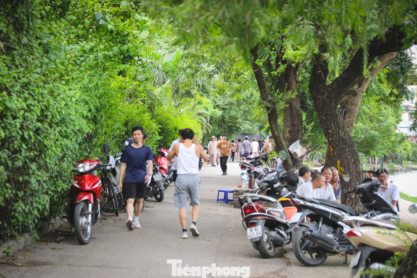 Tuy nhiên, sau khi hạ rào, phía ngoài rất nhiều xe máy luồn lách, ô tô trèo vỉa hè để đi vào bên trong công viên; phía trong các phương tiện hồn nhiên dừng đỗ, chiếm hết phần đường đi bộ. (Ảnh chụp chiều 18/6) Tuy nhiên, sau khi hạ rào, phía ngoài rất nhiều xe máy luồn lách, ô tô trèo vỉa hè để đi vào bên trong công viên; phía trong các phương tiện hồn nhiên dừng đỗ, chiếm hết phần đường đi bộ. (Ảnh chụp chiều 18/6)