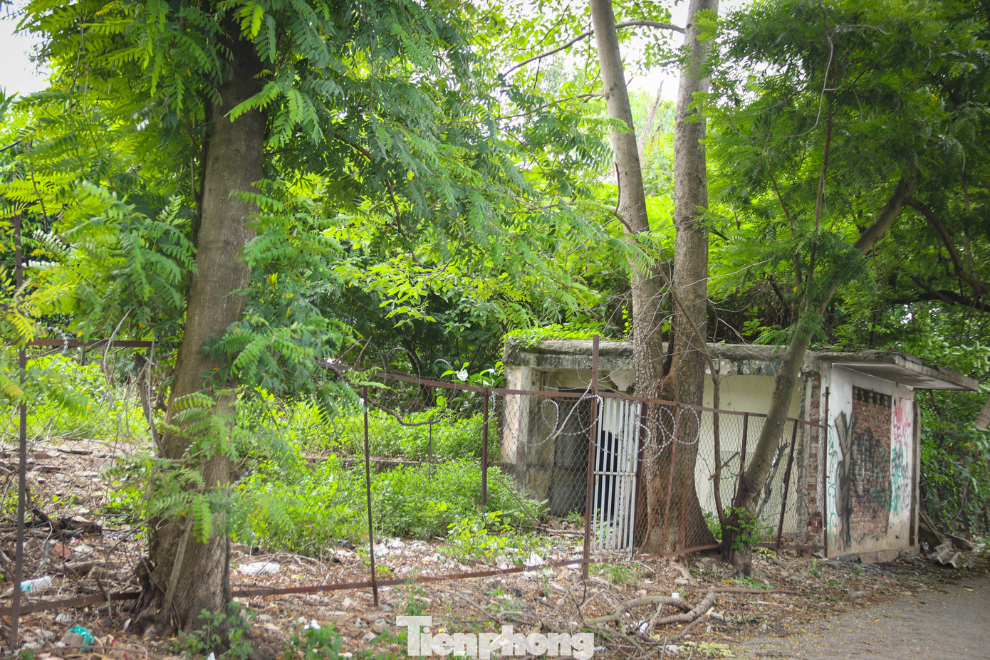 Một khu vực hoang hoá, trở thành điểm đổ phế thải của người dân trong khu vực. Một khu vực hoang hoá, trở thành điểm đổ phế thải của người dân trong khu vực.