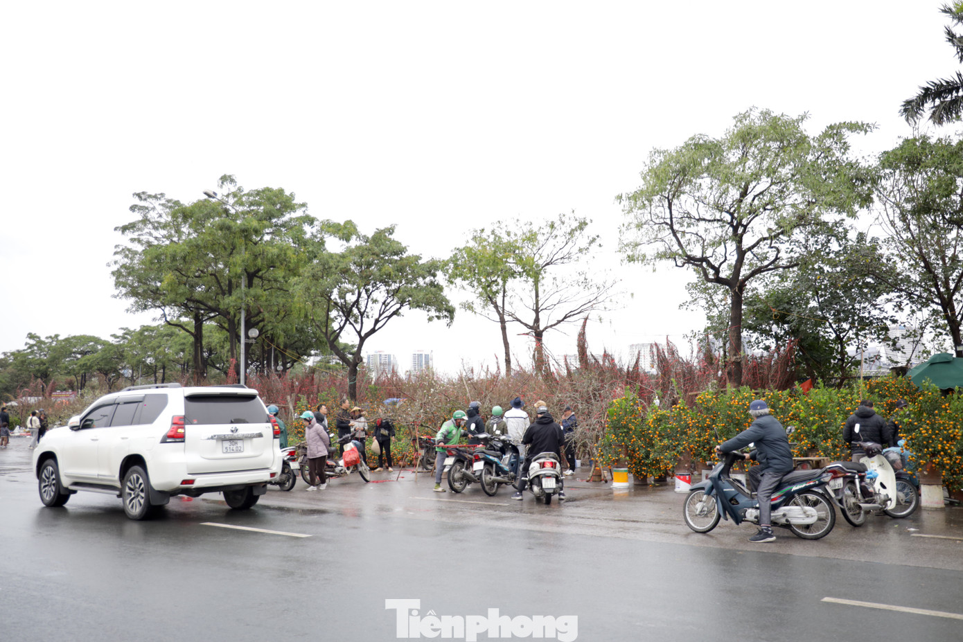 Sáng 26/1 (tức 27 tháng Chạp), dọc đường Lê Quang Đạo, không khí mua bán đào, quất Tết diễn ra tấp nập dù thời tiết có mưa phùn và gió lạnh.