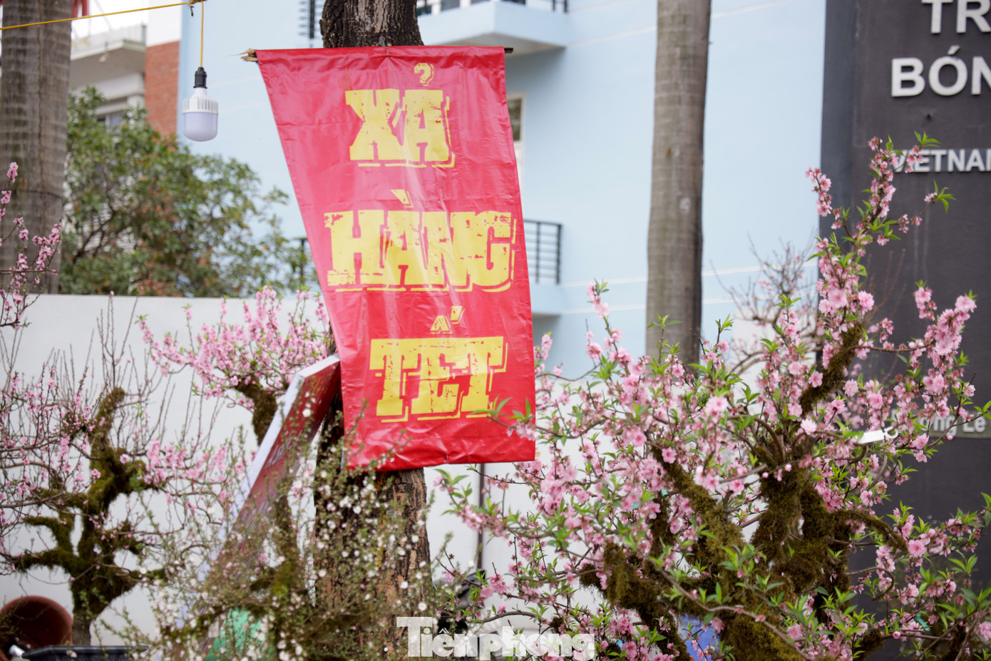 Nhiều cửa hàng chấp nhận xả hàng để thu hồi vốn.