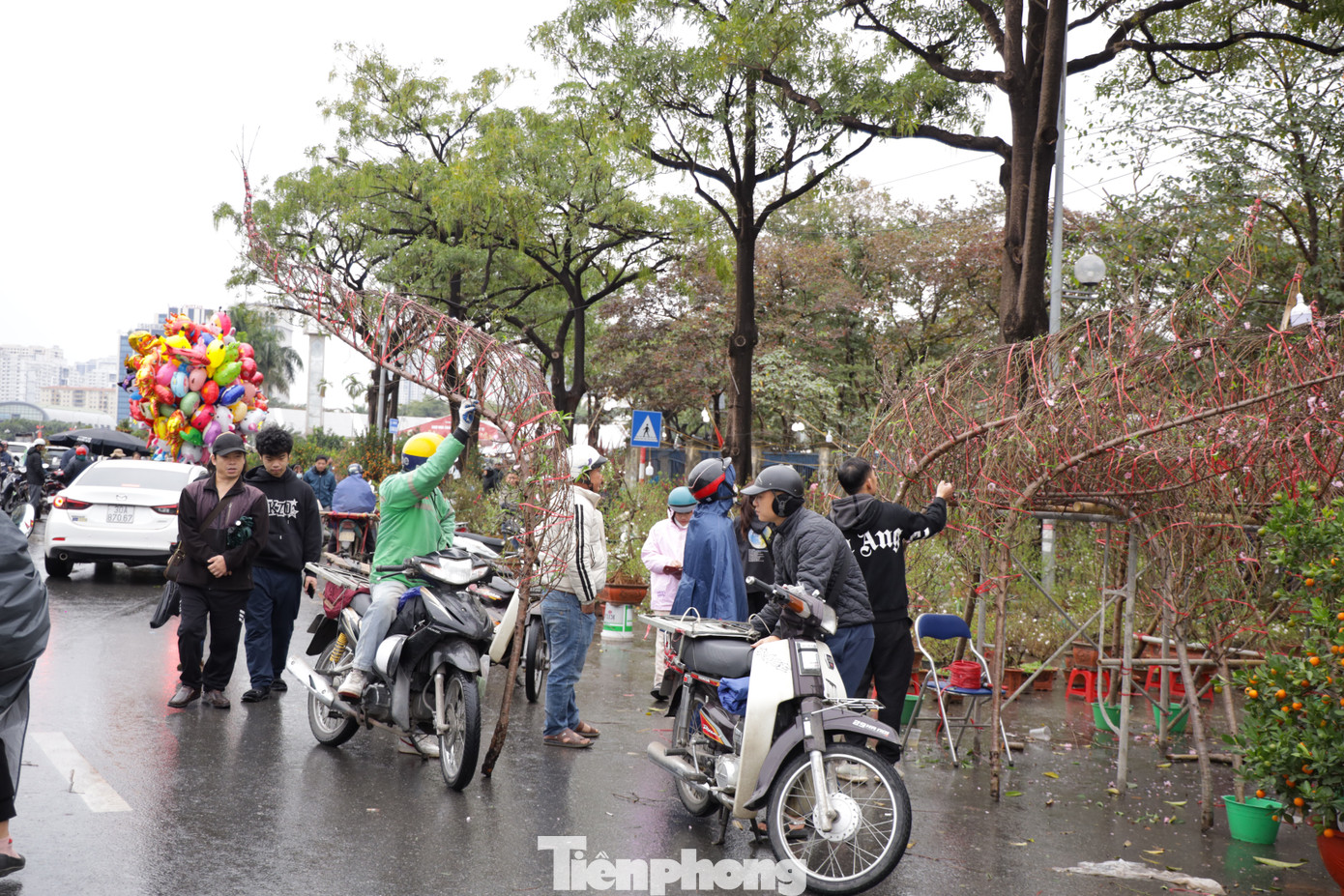Năm nay, do ảnh hưởng của bão số 3 và mưa lũ sau bão, nhiều diện tích đào tại Nhật Tân (Hà Nội) bị ảnh hưởng. Vì thế, giá đào Tết năm nay có biến động theo chiều hướng tăng.