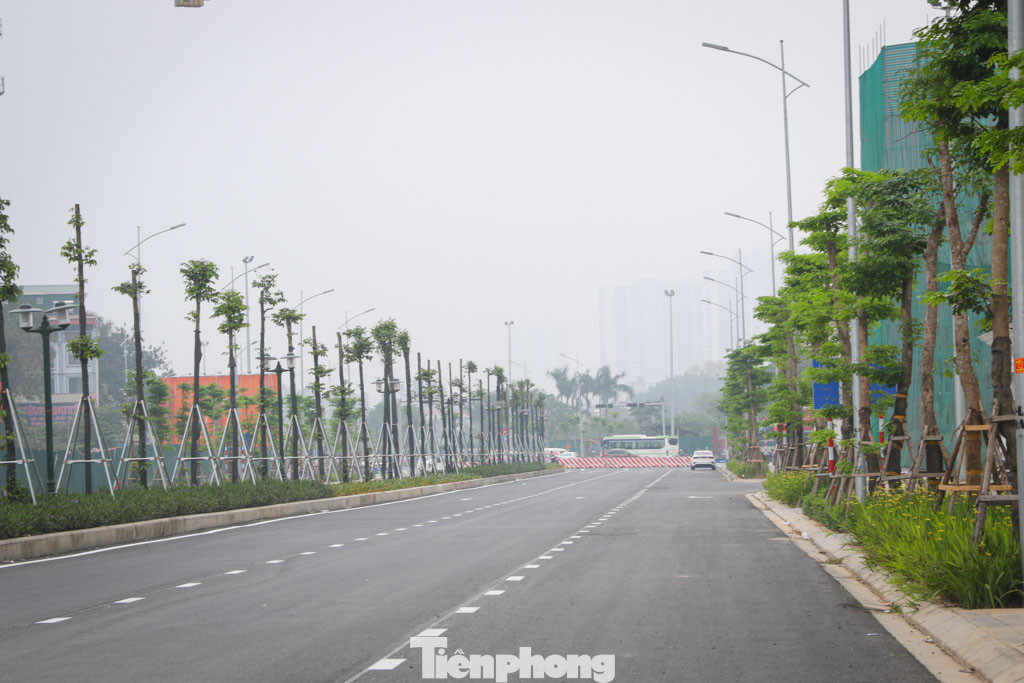 Hai bên đường công nhân đã hoàn tất trồng các cây giáng hương, còn tại dải phân cách ở giữa là hàng cây sao đen. Hai bên đường công nhân đã hoàn tất trồng các cây giáng hương, còn tại dải phân cách ở giữa là hàng cây sao đen.