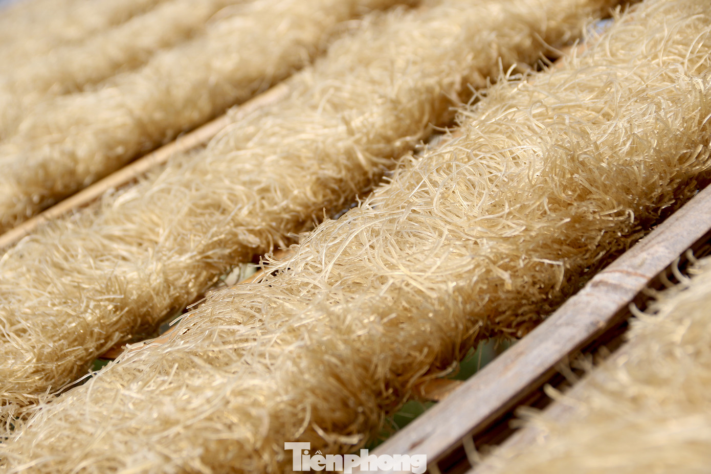 Đa dạng các loại miến phục vụ cho thị hiếu của người dân trong dịp Tết Nguyên đán năm nay. Đa dạng các loại miến phục vụ cho thị hiếu của người dân trong dịp Tết Nguyên đán năm nay.