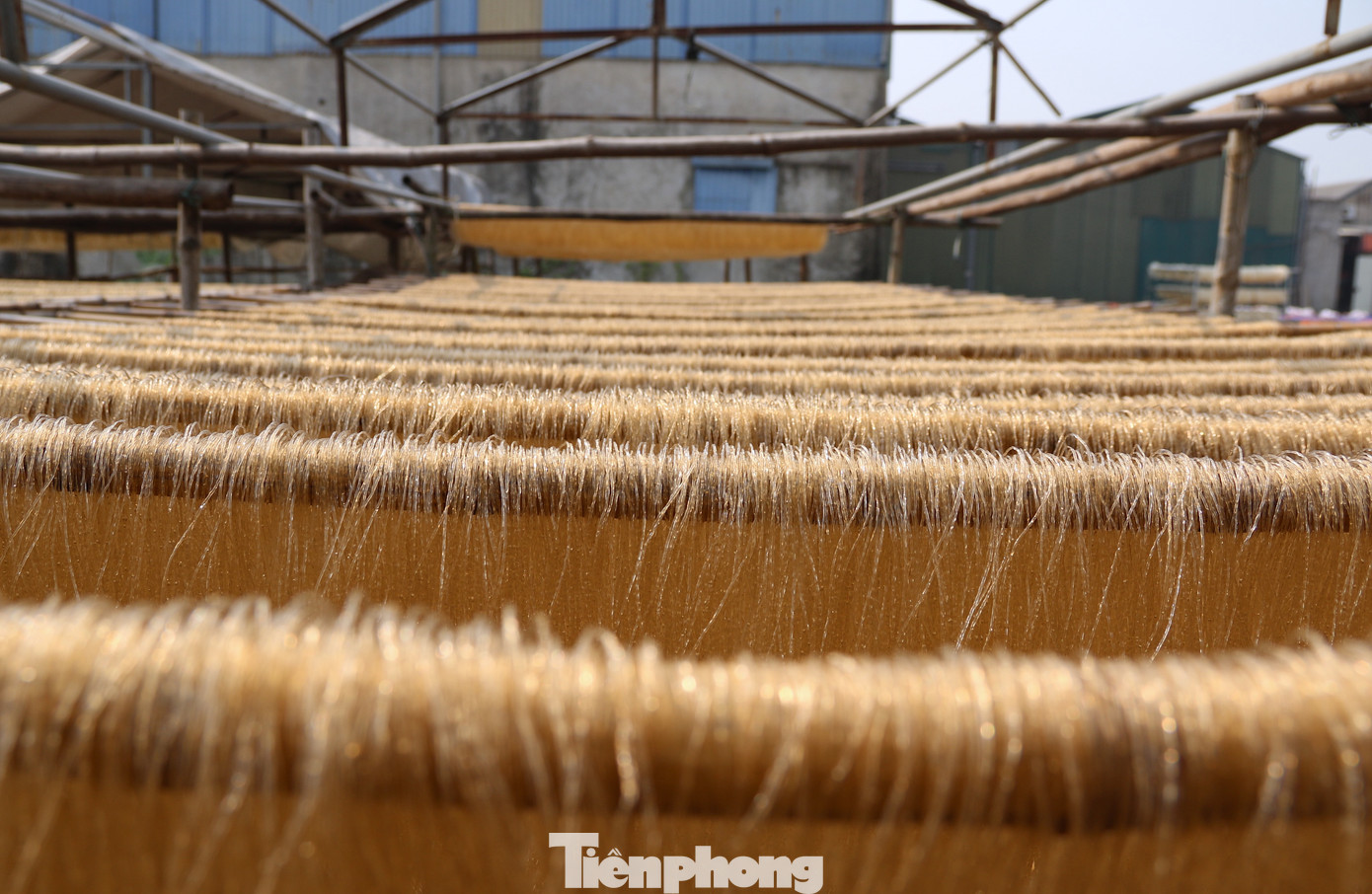 Nghề làm miến không chỉ duy trì, phát triển văn hóa làng nghề mà còn mang lại hiệu quả kinh tế cao, tạo công ăn việc làm ổn định cho lao động tại địa phương. Nghề làm miến không chỉ duy trì, phát triển văn hóa làng nghề mà còn mang lại hiệu quả kinh tế cao, tạo công ăn việc làm ổn định cho lao động tại địa phương.