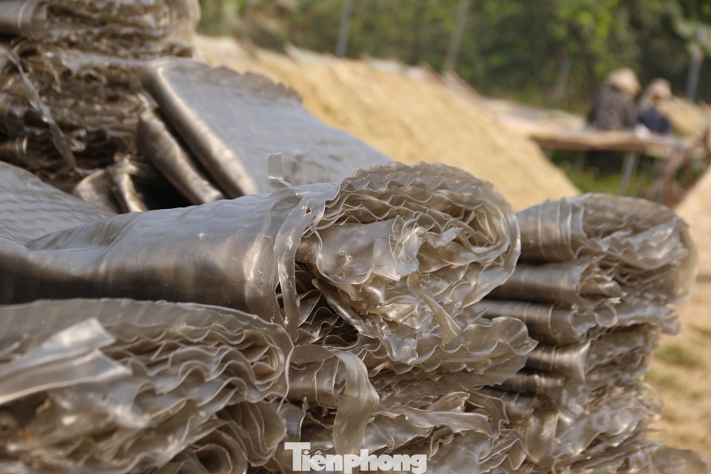 Đa dạng các loại miến phục vụ cho thị hiếu của người dân trong dịp Tết Nguyên đán năm nay. Đa dạng các loại miến phục vụ cho thị hiếu của người dân trong dịp Tết Nguyên đán năm nay.