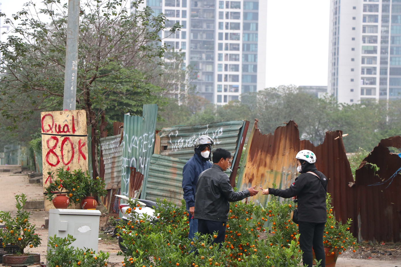 Giá bán các chậu ở mức từ 80.000 đồng đến tiền triệu một cây tùy kích thước và thế của chậu cây.