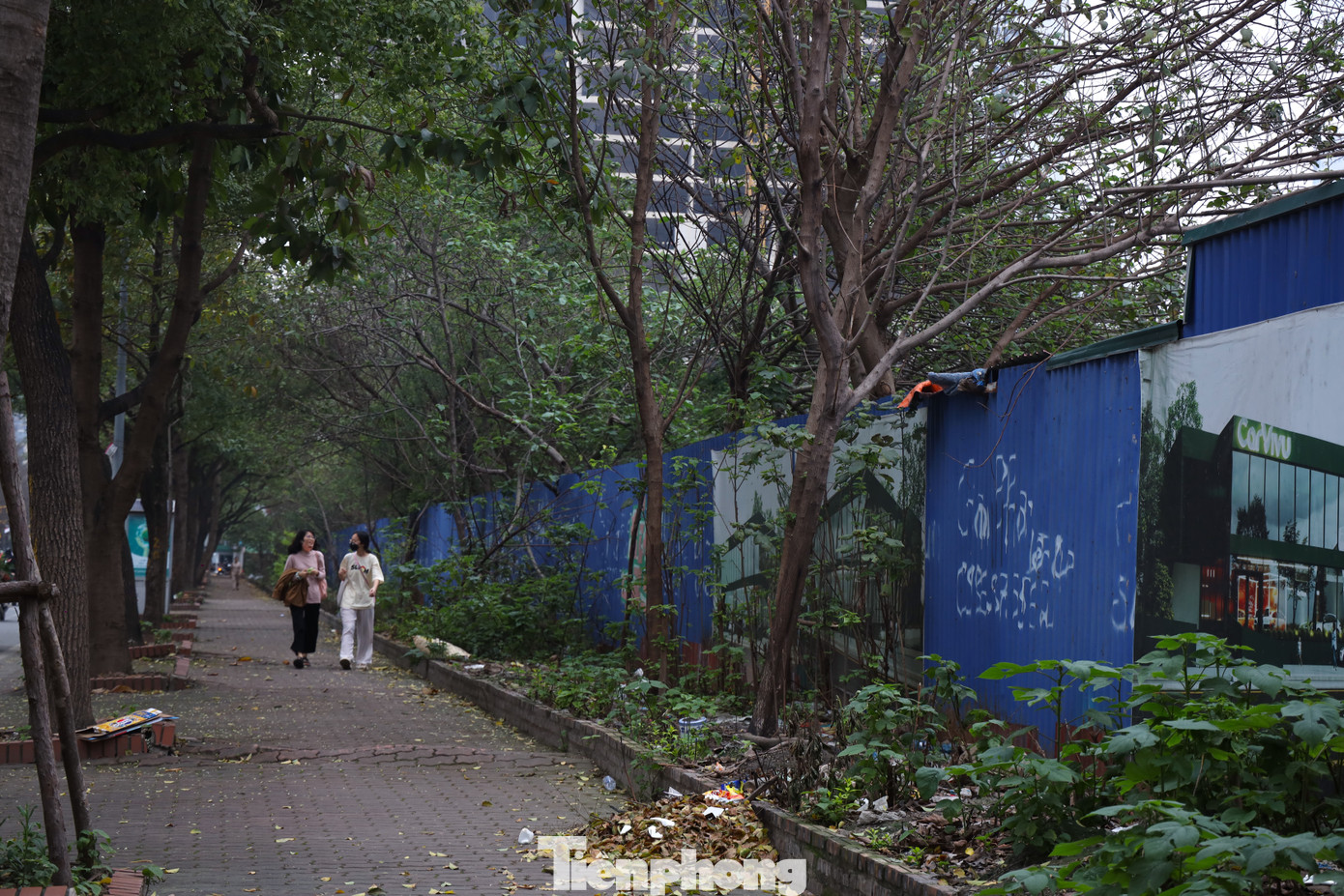 Năm 2010, UBND Thành phố Hà Nội cấp Giấy chứng nhận đầu tư cho Công ty TNHH VNT để thực hiện Dự án công viên - hồ điều hòa thuộc khu đô thị Tây Nam Hà Nội. Dự án dự kiến hoàn thành vào khoảng năm 2015 - 2016. Tuy nhiên đến nay, dự án này vẫn chưa về đích theo kế hoạch.