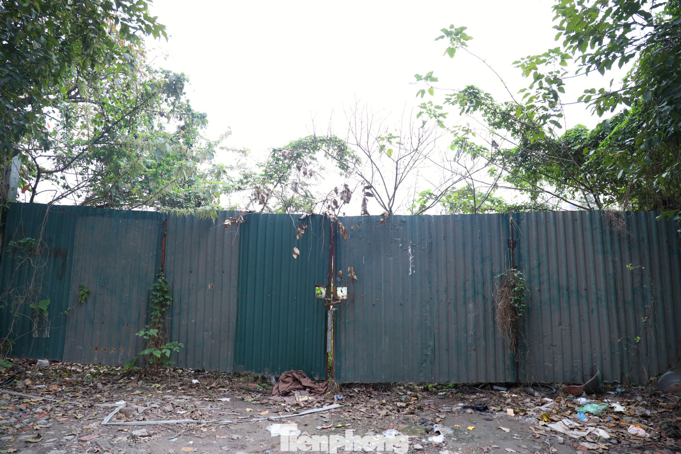 Dự án được quây tôn tứ phía, bên trong cây cỏ mọc um tùm. Các cổng vào dự án luôn trong tình trạng “cửa đóng then cài&quot;.