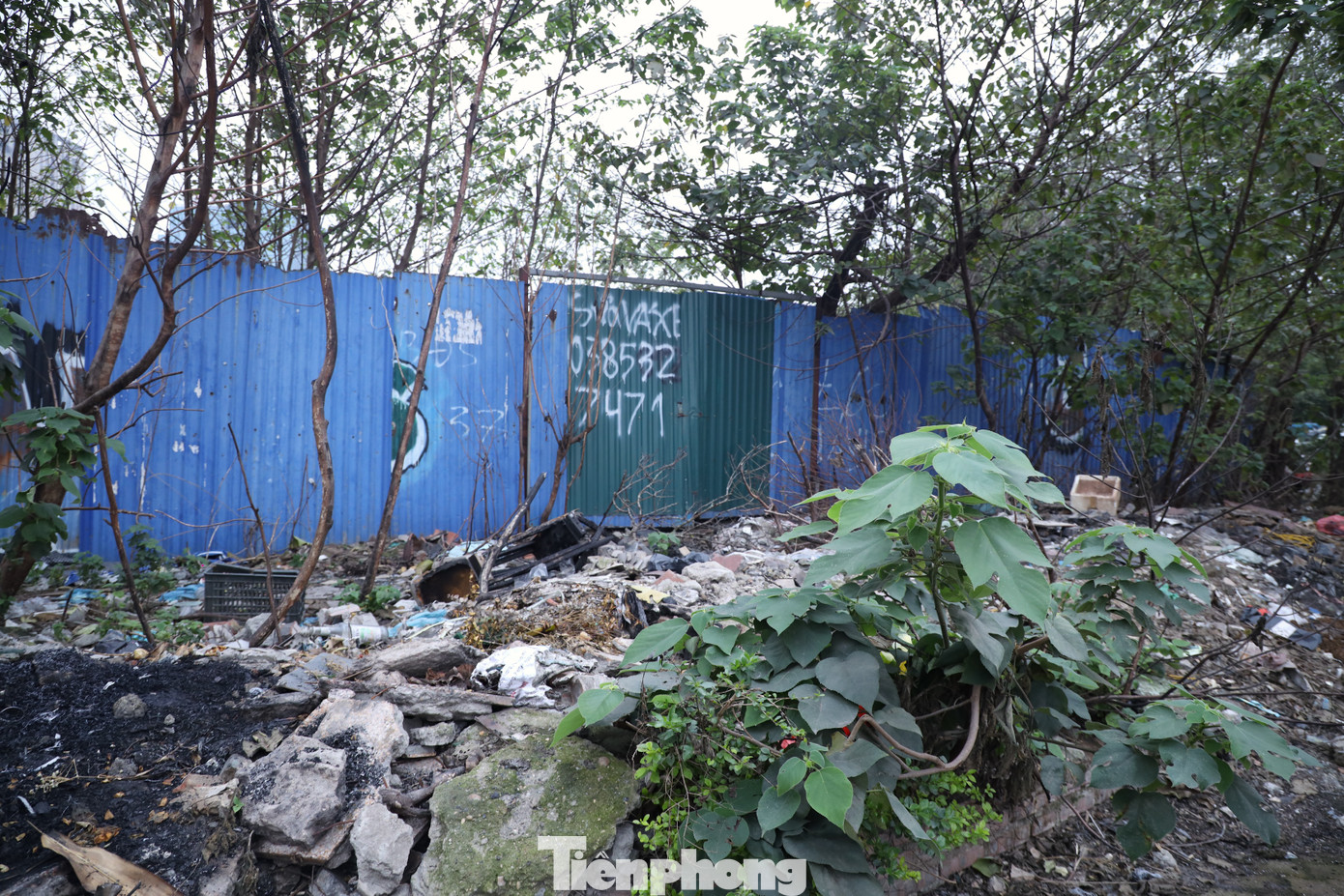 Rác thải, trạc thải xây dựng vứt ngổn ngang mặt tiếp giáp với phố Mạc Thái Tông và Nguyễn Chánh.